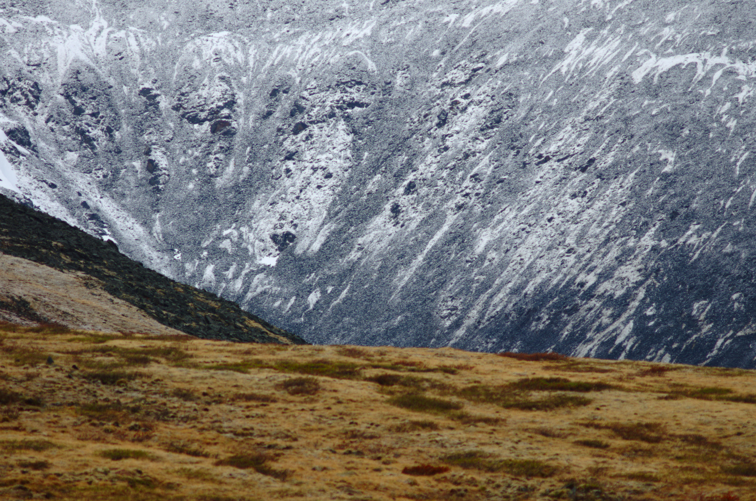 A snowy mountain makes a stark backdrop to mountain tundra.